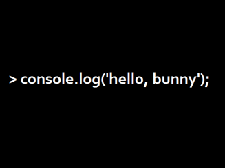 console.logbunny