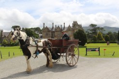 Susie and Robert at Muckross House